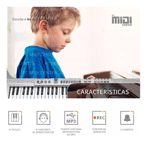 Organo Piano Teclado Musical Infantil Microfono Mq813 Usb