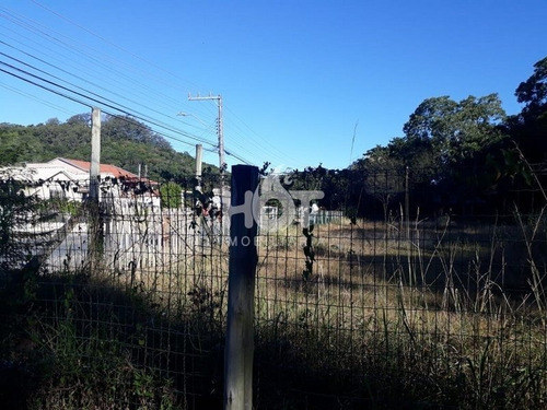 Imagem 7 de 15 de Terreno Comercial - Morro Das Pedras - Ref: 1561 - V-hi72388