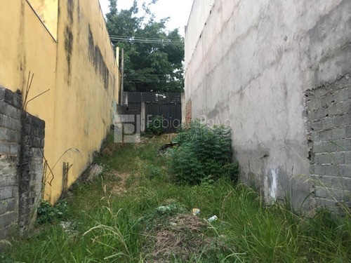 Imagem 4 de 7 de Terreno Para Venda Em Itaquaquecetuba, Vila Virgínia - Te0199_1-2075957