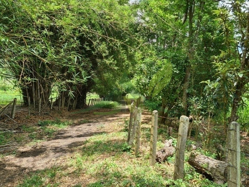 Lindo Sítio À Venda Em Piracaia Com 48400m² De Área - 1642