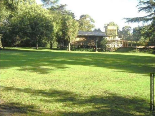 Imagen 3 de 9 de Venta Quinta/granja En La Gloria De La Peregrina