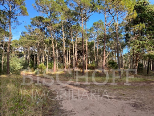 Lote En Carilo Barrio Zorzal Con Proyecto Y Planos Aprobados