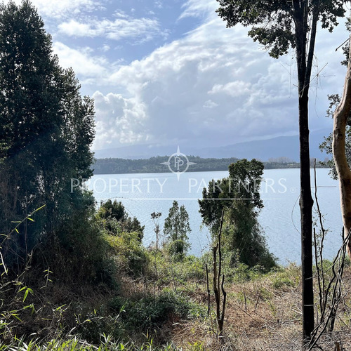 Parcela  En Lago Rupanco