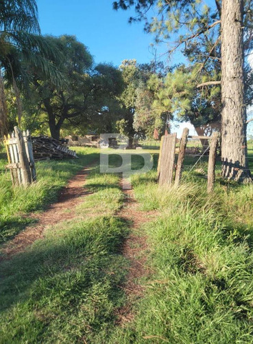 5 Hectareas A 300m De Ruta 11