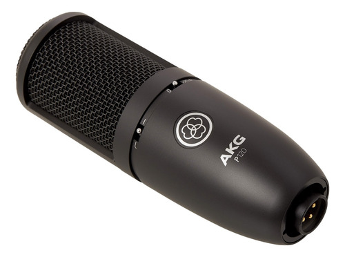 Microfono De Estudio Profesional Akg P120 De Condensador 