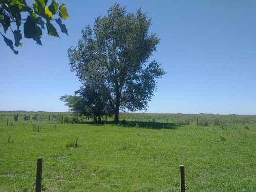 Campo Mixto En Chascomús - Permuta En La Plata