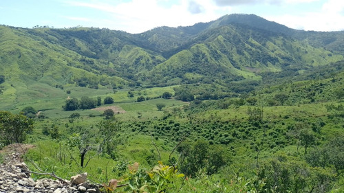 Oportunidad De Inversión En Chiapas: Rancho De 10 Hectáreas Con Documentación Al Día Y Plusvalía En Crecimiento