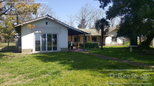 Chacra En Venta De 34 Has En Lezama. Ideal Para Producir Y Disfrutar
