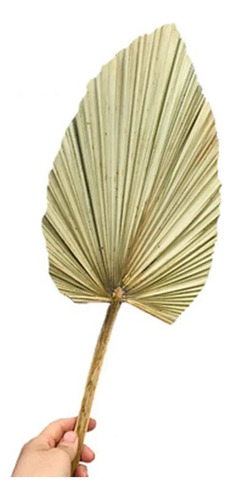 O Paquete De 4 Hojas De Palma Secas Naturales