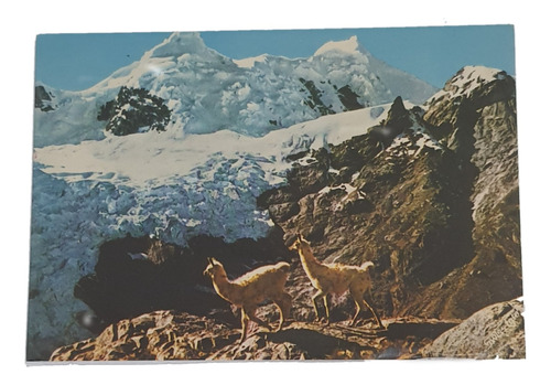 Cartão Postal Antigo Parque Nevado Santa Rosa Peru 1974