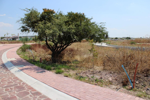 Imagen 3 de 17 de Terreno En Venta En Ciudad Maderas Sur