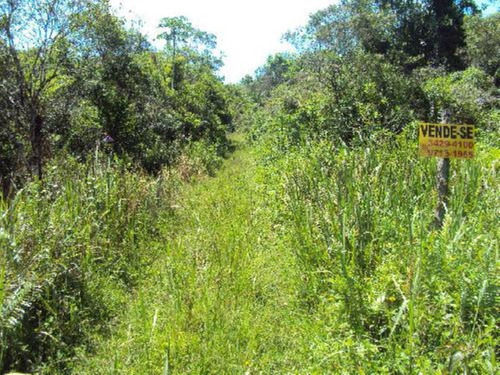 Imagem 3 de 3 de Ótimo Sítio Em Itanhaém, Com 8 Hectares, 80.000 M² De Área Total