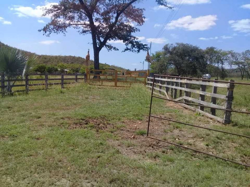 Imagen 9 de 30 de Finca De 440 Has En Cojedes-acarigua. 3 Pozos De Agua, Electricidad.