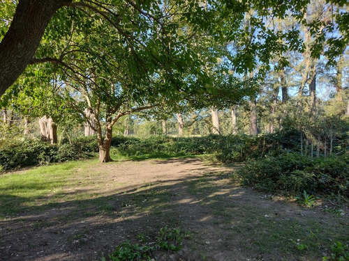 Imagen 9 de 21 de Terreno En Venta - La Lonja - Pilar