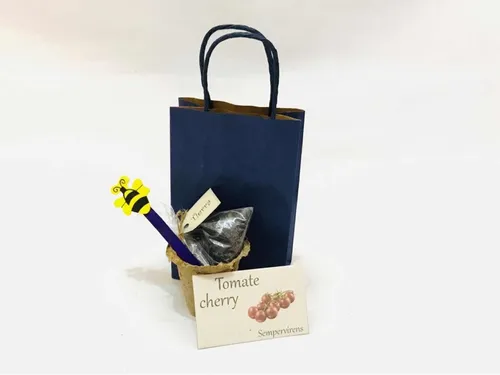 Mini Kit Huerta Para Niños