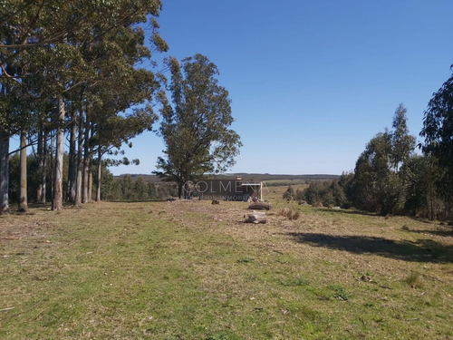 Imagen 6 de 20 de Venta Chacra En Jose Ignacio, Camino Arcos Del Sol 54 Has - Jose Ignacio José Ignacio