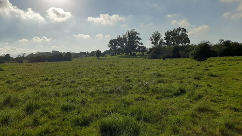 Campo De 26 Has A Metros De Ruta 9 En Pan De Azúcar