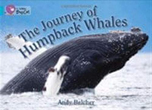 Journey Of Humpback Whale,the- Band 7 - Big Cat / Belcher, A