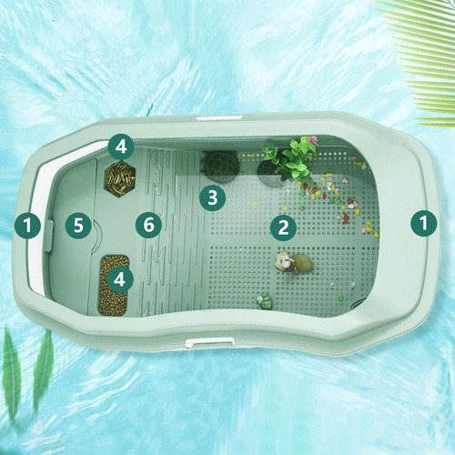 Hábitat De Reptiles, Tanques For Tortugas, Cangrejos