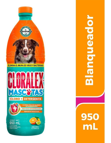 Limpiador Mascotas Cloralex Exterior Caja X 15 Uds 950 Mlc/u