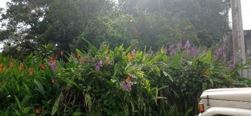 Imagem 2 de 4 de Terreno De Chácara Medindo 1.107 Metros Em Itanhaém Litoral