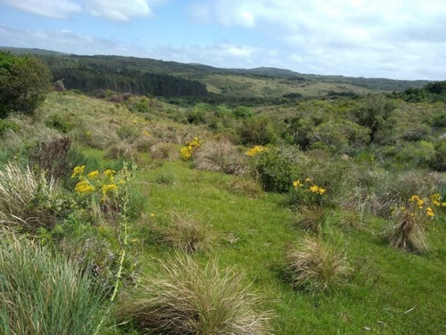 Campo En Venta