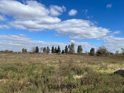 Lote En Venta O Alquiler ,ubicacion Estrategica Km 25 De Panamericana!! A Solo 24 Minutos De Capital. Consultar Precio