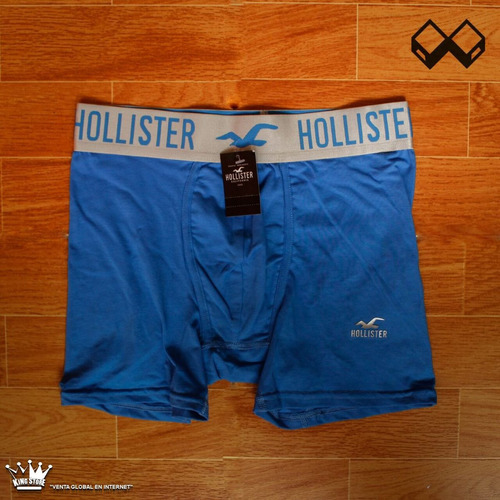 Boxer Hollister