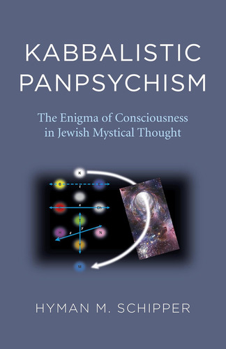 Kabbalistic Panpsychism: The Enigma Of Consciousness In Jewish Mystical Thought, De Schipper, Hyman., Vol. 1. Editorial Oem, Tapa Blanda En Inglés