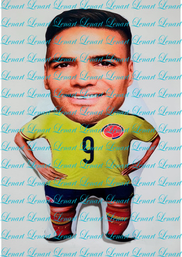 Cojin Falcao Colombia 27 X 17 Cms