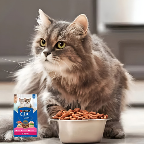 Cat Chow Gatitos 24 Kilos