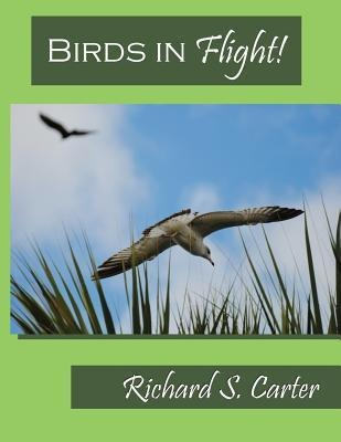 Libro Birds In Flight! - Richard S Carter