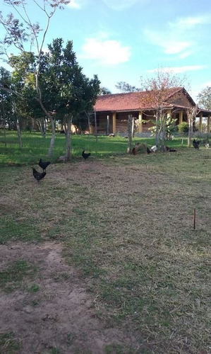 Imagem 6 de 30 de Sítio Com 4 Dormitórios À Venda, 60000 M² Por R$ 375.000 - Viamão - Viamão/rio Grande Do Sul - Si0018