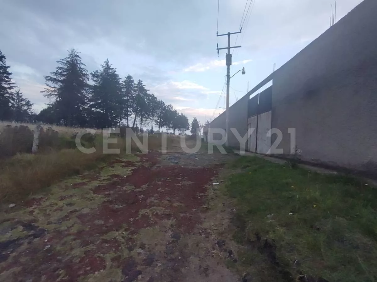 Terreno En Venta En Almoloya De Juárez, Edo. De México