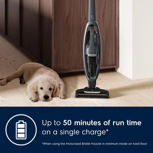 Aspiradora Inalámbrica Electrolux Wellq7 Pet Shale Gr
