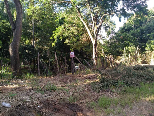 Imagem 4 de 4 de Lotes Raza - 6461