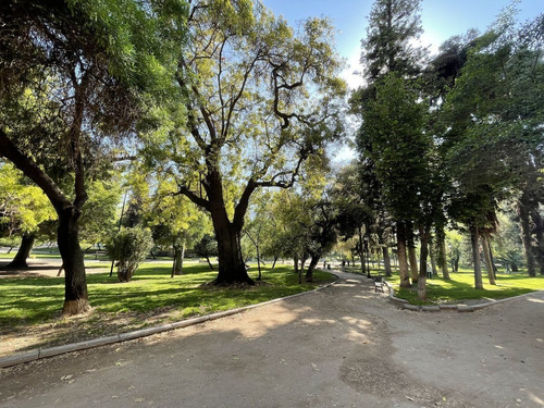 Gran Departamento Con Vista Al Parque Forestal