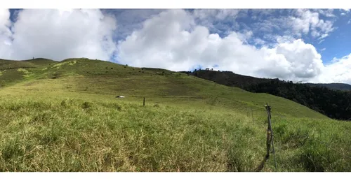 Se Vende Finca Naranjal - Roldanillo