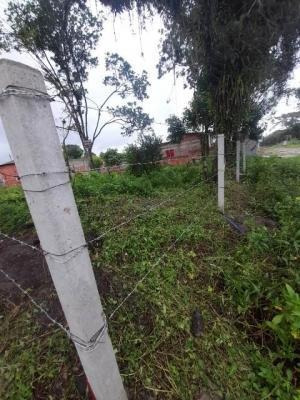 Imagem 2 de 6 de Terreno Escriturado Em Itanhaém - 9618 R