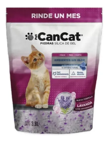 Cat cat clearance shop