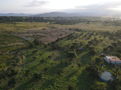 Imagen 2 de 24 de Granja En Venta Yaritagua 12 Hectareas Cod. 23-17577