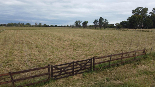 Lotes-chacras, Zarate, Buenos Aires