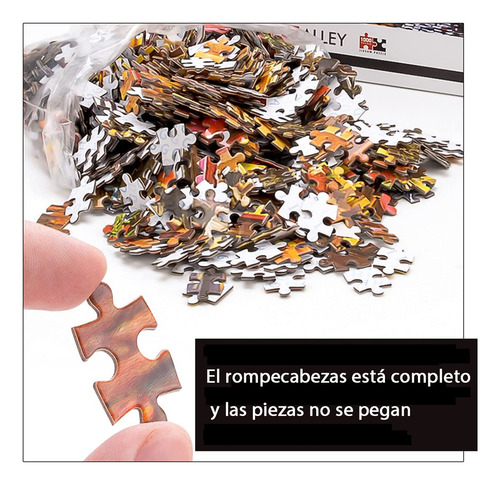 Rompecabezas 1000 Piezas Puzzle 70x50cm Space Traveler