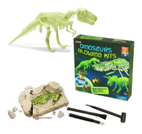 Kit Excavacion Glow Dinosaurios 3d Paleontologia Jm-350 Full