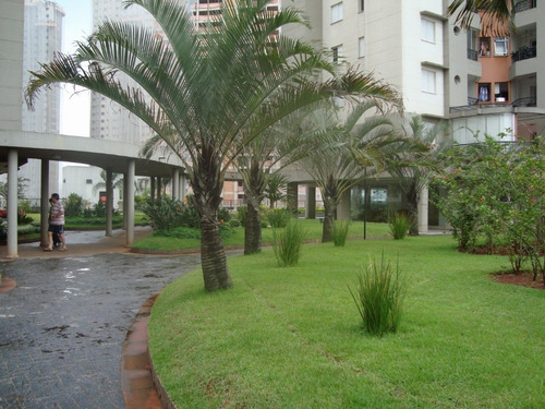 Imagem 11 de 15 de - V-7423