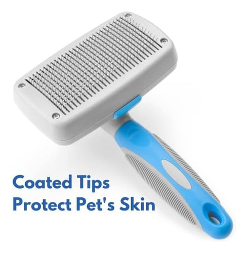 Escova Slicker Autolimpante Freshly Bailey Para Cães E Gato