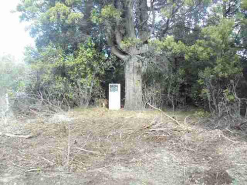 El Bolsón, Mallin Ahogado, Precioso Terreno De 2000 Mts2, Valor Usd 25.000
