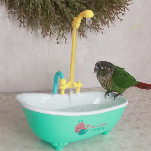 Bañera Para Loros, Caja De Ducha Para Periquitos, Piscina,