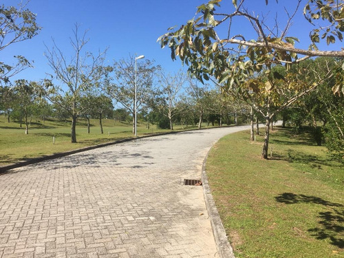 Imagem 5 de 5 de Apartamento Em Florianópolis - Sc - Te0055_ccon