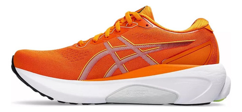 Tenis Asics Gel Kayano 30
